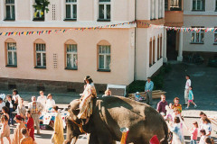 1994_Elefant-auf-der-Selneckerstrasse-2c-Archiv