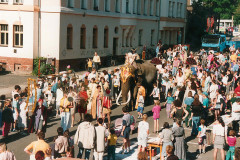 1994_Elefant-auf-der-Selneckerstrassec-Archiv