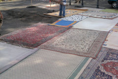 Foto0686